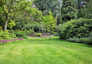 Optimiser l'expérience du jardin à Dampierre-en-Montagne